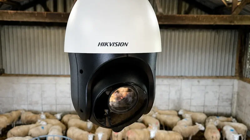 Barn security camera with sheep background
