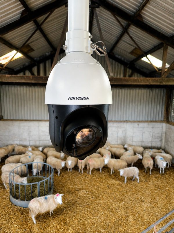 Barn security camera with sheep background